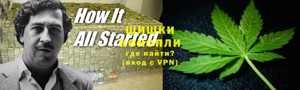 крисы Красноперекопск