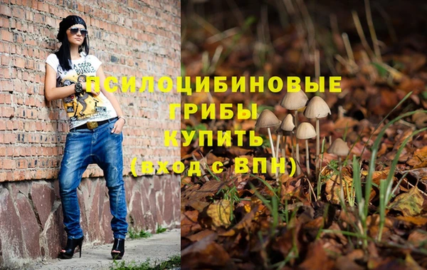 крисы Красноперекопск