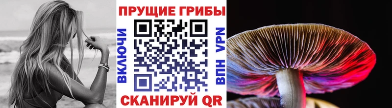 Галлюциногенные грибы прущие грибы  магазин  наркотиков  Южноуральск 