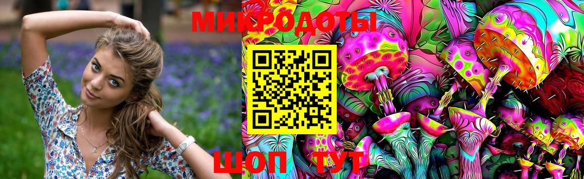 Галлюциногенные грибы Psilocybe Южноуральск