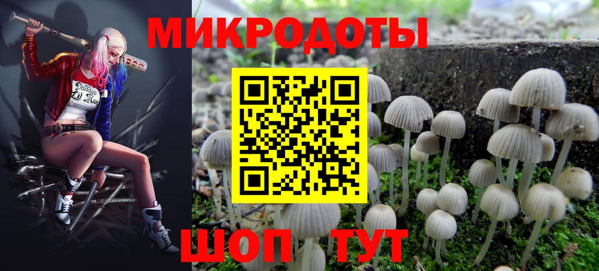 Галлюциногенные грибы Cubensis  Вход с VPN  Южноуральск 