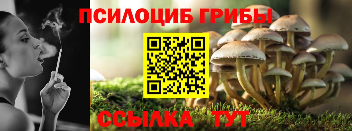 Псилоцибиновые грибы Magic Shrooms  Псилоцибиновые грибы Psilocybine cubensis  Южноуральск 